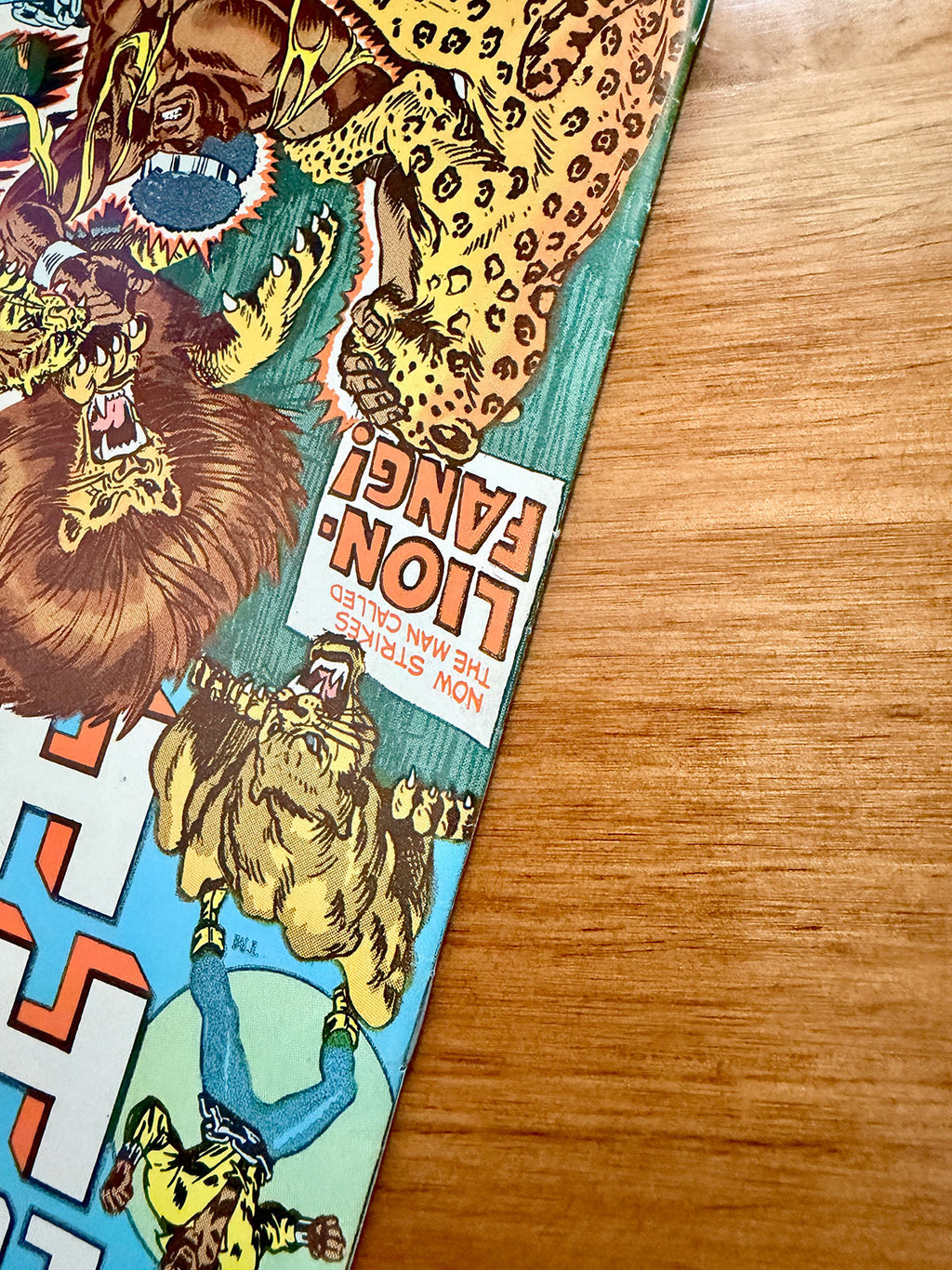 Luke Cage, Hero For Hire #13 - 1973 First Appearance of Lion Fang - VF