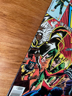 Iron Fist #15 - 1977 First Appearance of Bushmaster – VF