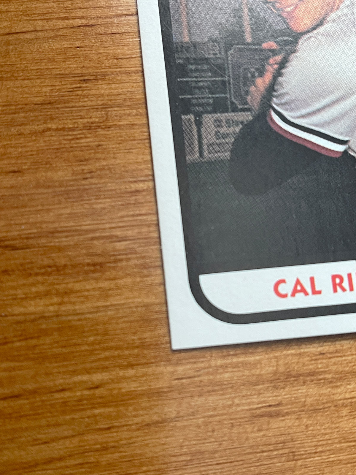 Cal Ripken Jr. – 1981 TCMA Minor League Rookie #15 – NM-M